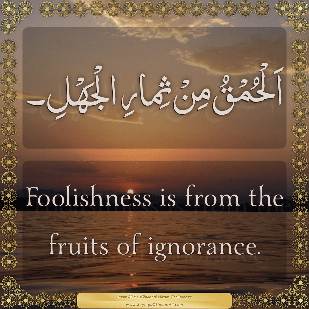 Foolishness is from the fruits of ignorance.